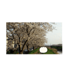 realpotean（個別スタンプ：30）