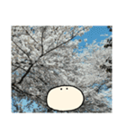 realpotean（個別スタンプ：31）