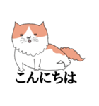 しゃべる猫 風太（個別スタンプ：3）