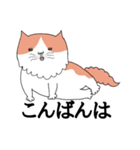 しゃべる猫 風太（個別スタンプ：4）
