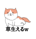 しゃべる猫 風太（個別スタンプ：5）