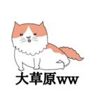 しゃべる猫 風太（個別スタンプ：6）