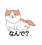 しゃべる猫 風太（個別スタンプ：7）