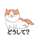 しゃべる猫 風太（個別スタンプ：8）