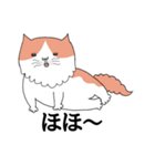 しゃべる猫 風太（個別スタンプ：13）