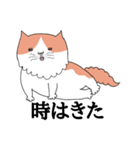 しゃべる猫 風太（個別スタンプ：14）