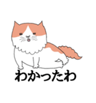 しゃべる猫 風太（個別スタンプ：16）