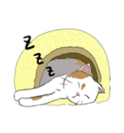 ねこのリカちゃん（個別スタンプ：6）