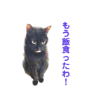 5匹の猫たち♪（個別スタンプ：38）