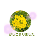 花の丁寧な言葉（個別スタンプ：1）