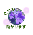 花の丁寧な言葉（個別スタンプ：8）