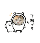 ぱしゃちゃんスタンプ2（個別スタンプ：13）