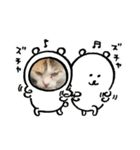 ぱしゃちゃんスタンプ2（個別スタンプ：15）