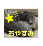 マルックスのセダくん2（個別スタンプ：3）