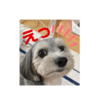 マルックスのセダくん2（個別スタンプ：5）
