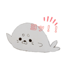 めんこい アザラシ（個別スタンプ：1）