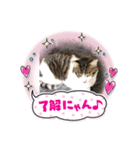 クロ ランス マカロン スタンプpart2（個別スタンプ：1）