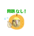 うちのカワイイちびっこたちPart8（個別スタンプ：1）