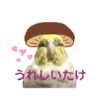 うちのカワイイちびっこたちPart8（個別スタンプ：8）