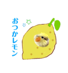 うちのカワイイちびっこたちPart8（個別スタンプ：20）
