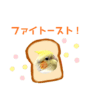 うちのカワイイちびっこたちPart8（個別スタンプ：24）
