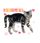 はなころりん2021（個別スタンプ：1）