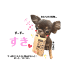 ♡こまちゃん♡うなちゃん♡スタンプ（個別スタンプ：2）