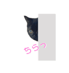 るなぴの日常スタンプ（個別スタンプ：9）