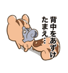 気合いリス！（個別スタンプ：26）