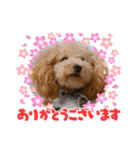 ルクは天使5（個別スタンプ：1）