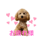 ルクは天使5（個別スタンプ：3）