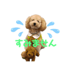 ルクは天使5（個別スタンプ：5）