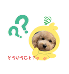 ルクは天使5（個別スタンプ：9）
