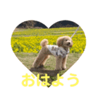 ルクは天使5（個別スタンプ：11）