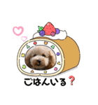 ルクは天使5（個別スタンプ：12）