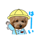 ルクは天使5（個別スタンプ：13）