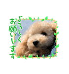 ルクは天使5（個別スタンプ：14）