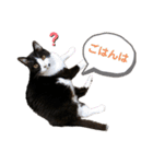 ちいまみれスタンプ（個別スタンプ：3）