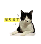 ちいまみれスタンプ（個別スタンプ：4）