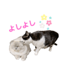 ちいまみれスタンプ（個別スタンプ：8）