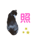 ちいまみれスタンプ（個別スタンプ：15）