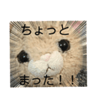 ねこちゃんどうしたの？(うれしい版)（個別スタンプ：1）