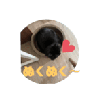 我が家の愉快なペット達（個別スタンプ：3）