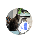 我が家の愉快なペット達（個別スタンプ：5）