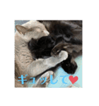 我が家の愉快なペット達（個別スタンプ：11）