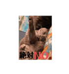 我が家の愉快なペット達（個別スタンプ：13）