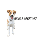ジャックラッセルテリア jackrusellterrier（個別スタンプ：14）