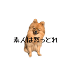 ぴーとぺー（個別スタンプ：3）