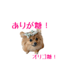 ぴーとぺー（個別スタンプ：5）