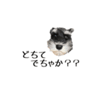 ぴーとぺー（個別スタンプ：10）